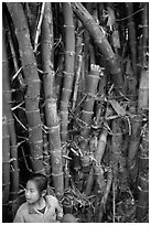 Girl and bamboo, Ban Xan Hai. Laos (black and white)