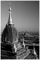 Gilded temples seen from Dhammayazika. Bagan, Myanmar (black and white)