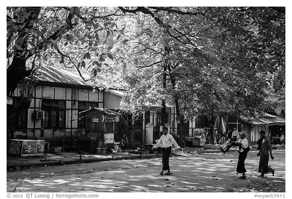 Leafy street. Yangon, Myanmar (black and white)