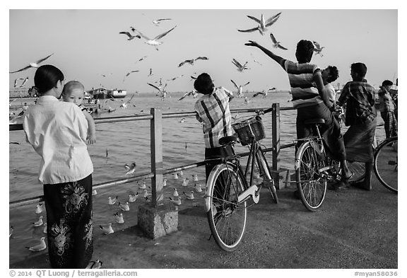 Yangon River pier with seagulls fed by visitors. Yangon, Myanmar (black and white)