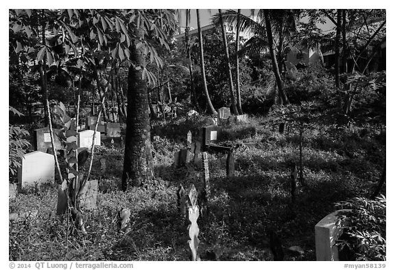 Tombs and vegetation in Muslim Cemetery. Yangon, Myanmar (black and white)