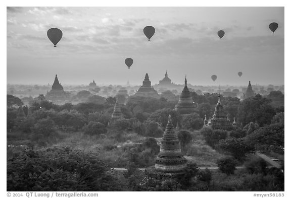 Hot air ballons above temples at sunrise. Bagan, Myanmar (black and white)