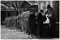 Buddhist novices lining up to receive rice for lunch, Nyaung U. Bagan, Myanmar ( black and white)