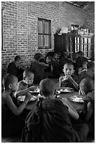 Young Buddhist monks in dining room. Bagan, Myanmar ( black and white)