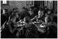 Novices eat lunch, last meal of the day. Bagan, Myanmar ( black and white)