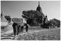 Young Buddhist monks holding red sun umbrellas walk towards temple. Bagan, Myanmar ( black and white)