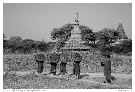 Buddhist Novices with red sun umbrellas on path near old stupas. Bagan, Myanmar (black and white)