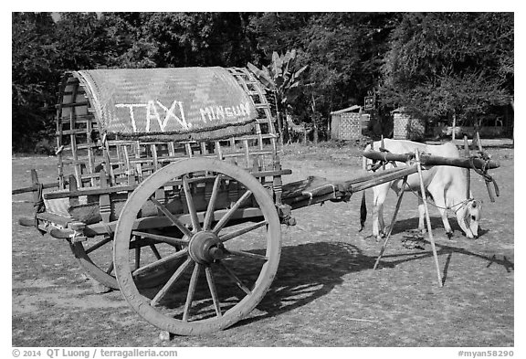 Ox cart marked as taxi, Mingun. Myanmar (black and white)