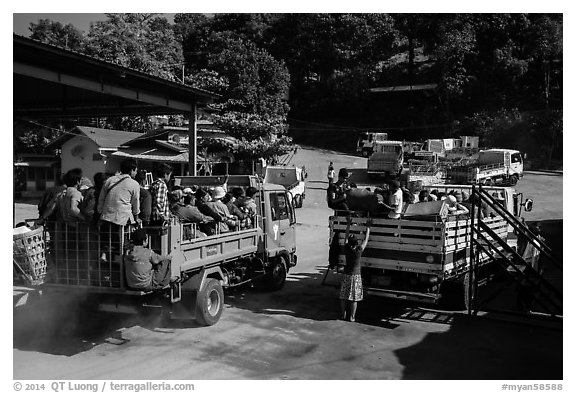 Trucks carrying pilgrims to the top. Kyaiktiyo, Myanmar (black and white)