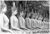 Row of Buddha images in Wat Chai Mongkon, reverently swathed in cloth. Ayutthaya, Thailand ( black and white)