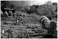 Children in traditinal hmong dress in flower garden. Chiang Mai, Thailand ( black and white)