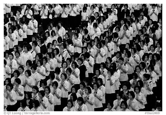 School girls during morning prayer before class. Chiang Rai, Thailand (black and white)