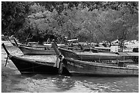 Long tail boats and trees, Ao Rai Leh East. Krabi Province, Thailand (black and white)