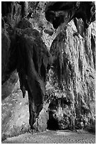 Rock climbers on limestone cliff, Railay. Krabi Province, Thailand (black and white)