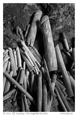 Carved wooden phalluses, Phranang cave, Rai Leh. Krabi Province, Thailand (black and white)
