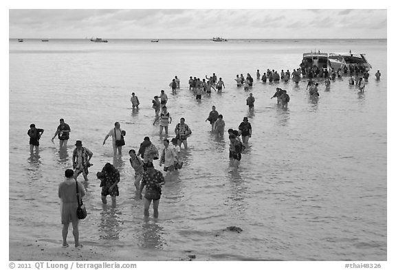 Crowd walking in water, Ko Phi-Phi island. Krabi Province, Thailand (black and white)