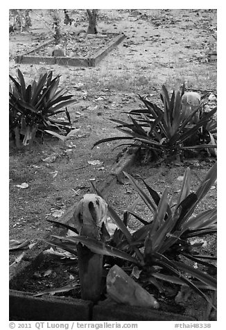 Tombs, islamic burying grounds, Ko Phi-Phi island. Krabi Province, Thailand (black and white)