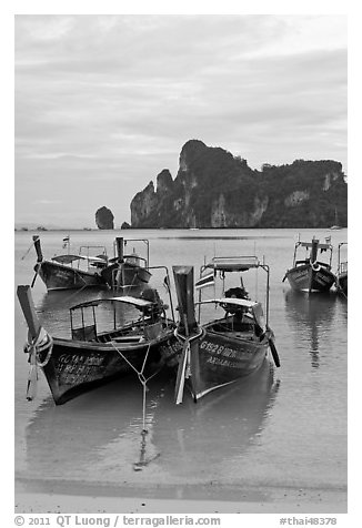 Long tail boats in serene waters of Lo Dalam bay, Ko Phi-Phi island. Krabi Province, Thailand (black and white)