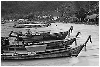 Long tail boats Tonsai beach and village, Ko Phi Phi. Krabi Province, Thailand ( black and white)