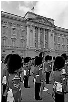 Musicians of the guard during the guard mounting in front of Buckingham Palace. London, England, United Kingdom (black and white)