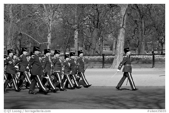 Guards marching near Buckingham Palace. London, England, United Kingdom (black and white)