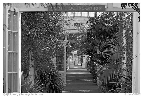 Long central path in the Temperate House. Kew Royal Botanical Gardens,  London, England, United Kingdom (black and white)