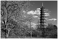 Great Pagoda designed after the Chinese Taa. Kew Royal Botanical Gardens,  London, England, United Kingdom ( black and white)