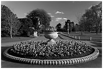 Flower circle. Kew Royal Botanical Gardens,  London, England, United Kingdom (black and white)