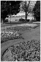 Flowers in park, with Royal Crescent in the background. Bath, Somerset, England, United Kingdom (black and white)