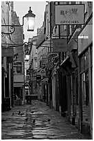 Lamps, pigeons, and narrow street. Bath, Somerset, England, United Kingdom ( black and white)