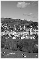 Sheep and distant view of town. Bath, Somerset, England, United Kingdom ( black and white)