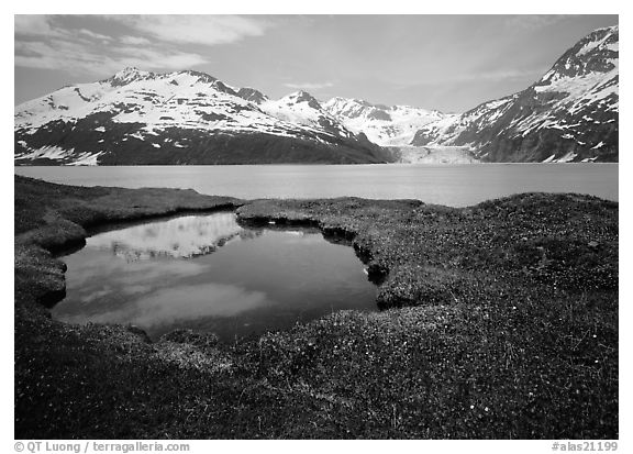 Pond, mountains, and glaciers across Harriman Fjord. Alaska, USA (black and white)