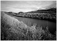 Long Lake surrounded by aspens in autumn color. Alaska, USA ( black and white)