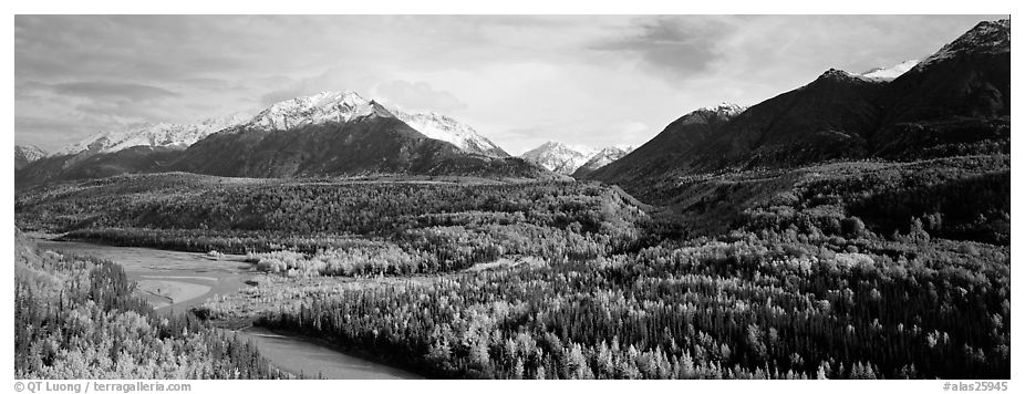 Autumn landscape with river, aspen forest, and snowy mountains. Alaska, USA (black and white)