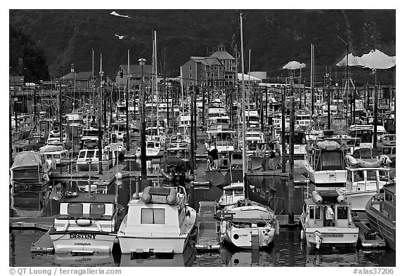 Small boat harbor. Whittier, Alaska, USA (black and white)