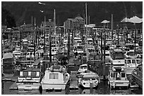 Small boat harbor. Whittier, Alaska, USA ( black and white)