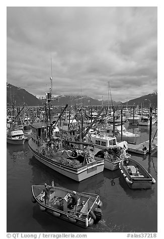 Fishing boats in harbor. Whittier, Alaska, USA (black and white)