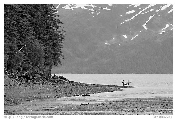 Women fishing and dog, at the edge of Passage Canal Fjord. Whittier, Alaska, USA