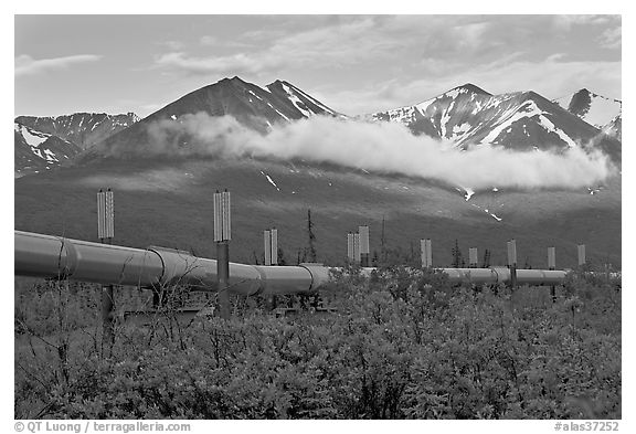 Trans-Alaska Pipeline and mountains. Alaska, USA (black and white)