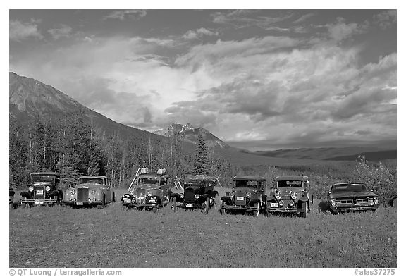 Row of classic cars lined up in meadow McCarthy USA black and white