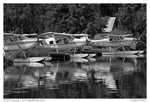 Float planes on Lake Hood, the largest float plane base in the world. Anchorage, Alaska, USA (black and white)
