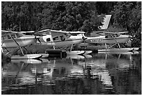 Float planes on Lake Hood, the largest float plane base in the world. Anchorage, Alaska, USA ( black and white)