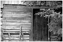 Cabin detail. Hope,  Alaska, USA (black and white)