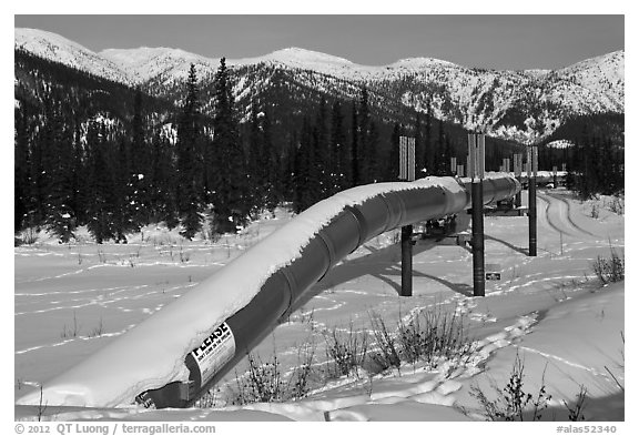 Trans Alaska Oil Pipeline in winter. Alaska, USA (black and white)