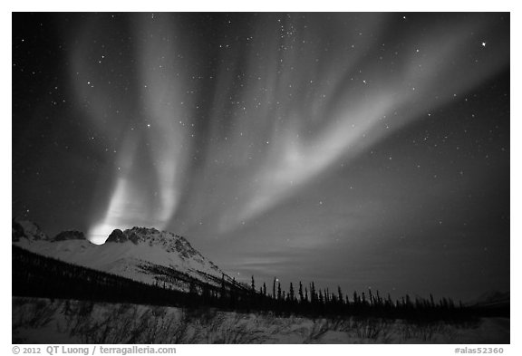 Aurora Borealis and starry night sky, Brooks Range. Alaska, USA