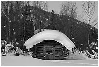 Snow-covered cabin. Wiseman, Alaska, USA (black and white)