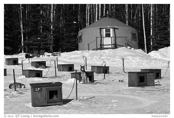 Doghouses and yurt tent. North Pole, Alaska, USA (black and white)