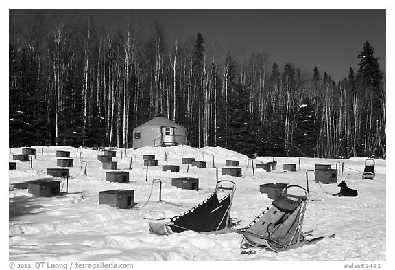 Sleds and kennel at mushing camp. North Pole, Alaska, USA (black and white)
