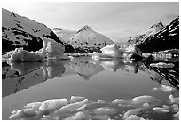 Portage Lake with icebergs. Alaska, USA ( black and white)