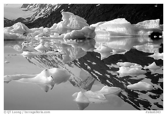 Icebergs and mountain reflections, Portage Lake. Alaska, USA (black and white)